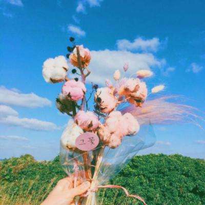 百家乐凯发k8官方网入口